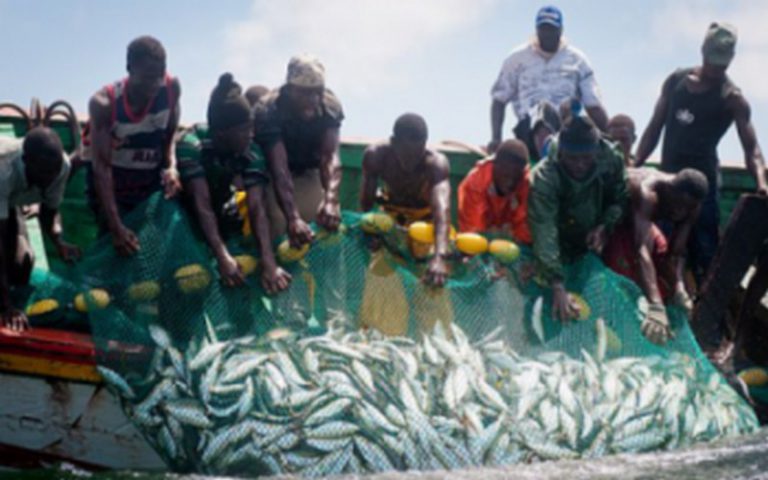 Une politique de pêche et d’aquaculture de la CEDEAO