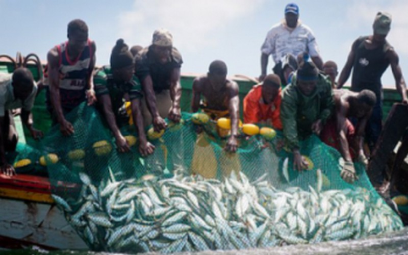 Pêche illégale : la Tanzanie contrainte d’importer les poissons de la Chine