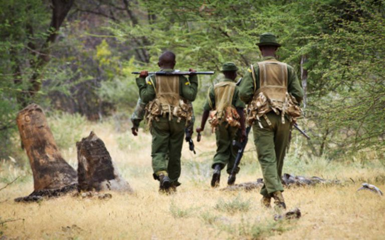 78 nouveaux rangers déployés dans différents parcs et réserves du Kenya