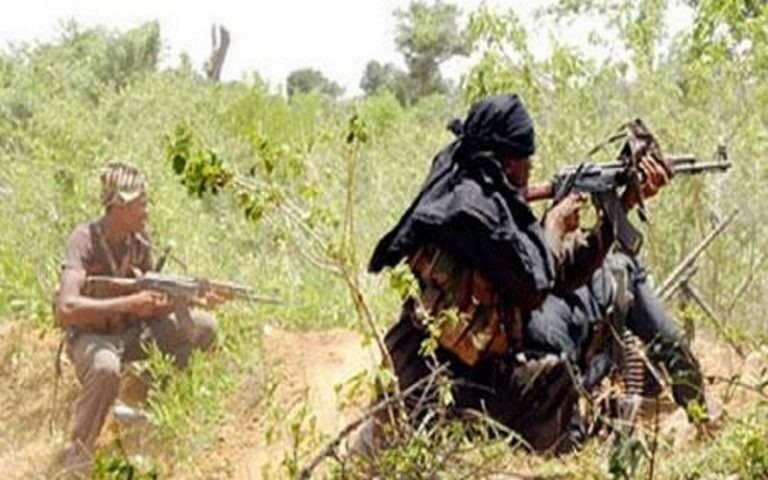 13 coupeurs de bois assassinés à Ziguinchor (Sénégal)