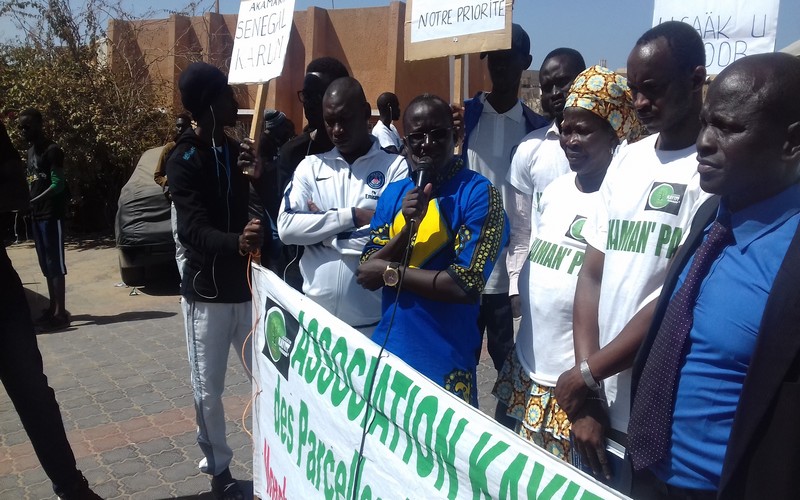 Coupe du bois au Sénégal : AKAMAN’PA appelle au respect des lois