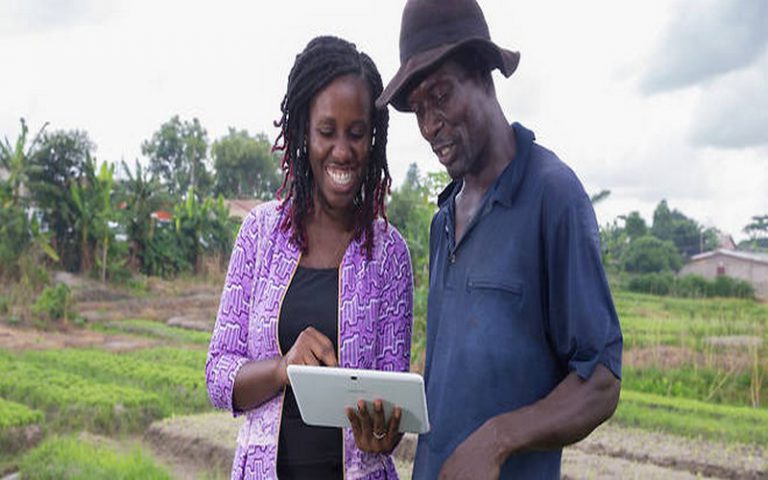 Afrique : ces applications agricoles qui boostent le Ghana