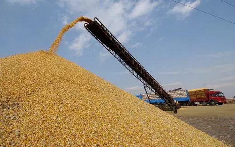 Le PNIASA prévoit une croissance agricole de 6,6% au Togo