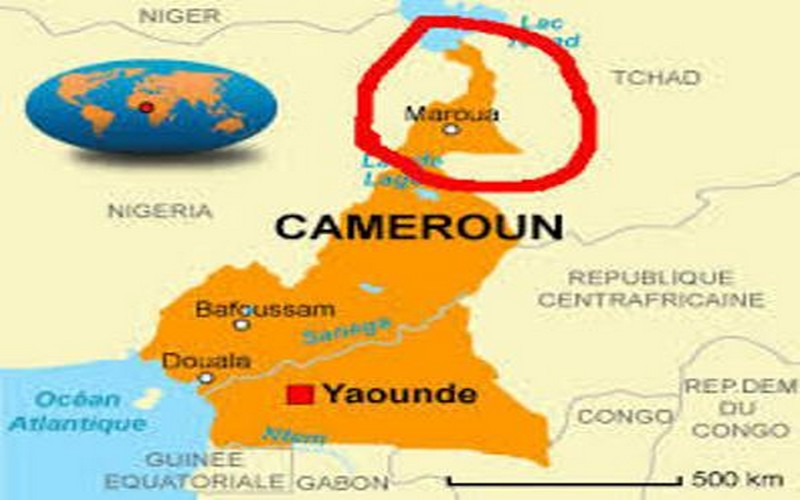 L’Extrême-Nord du Cameroun sous le diktat de la famine