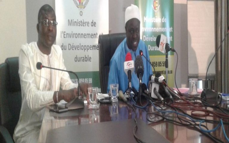 Nouveau Code forestier : le Sénégal alourdit les peines