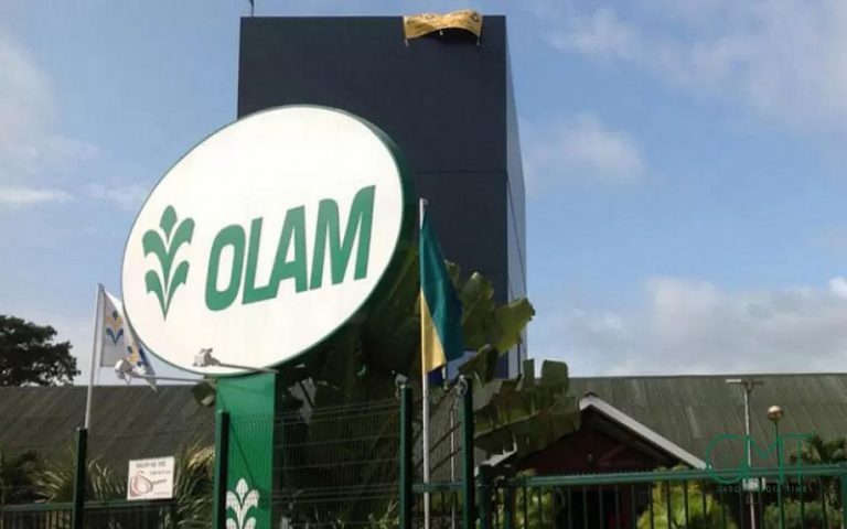 Durabilité de la chaîne d’approvisionnement du café : Olam vise l’horizon 2025