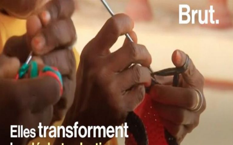 Le Nigéria, le Cameroun et le Kenya : trois initiatives écologiques
