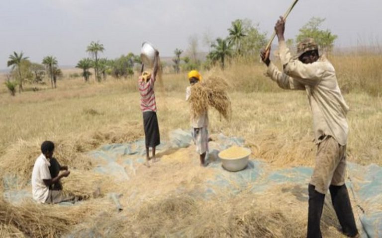 La BAD vole au secours de l’agrobusiness du Togo