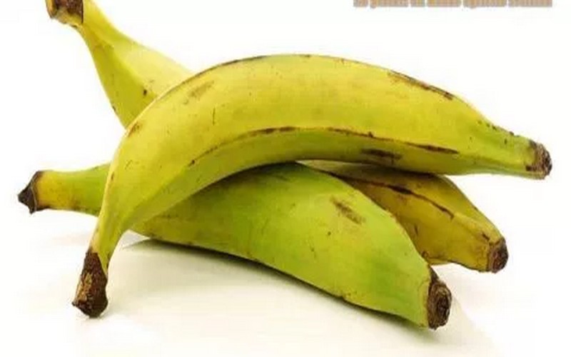 Les producteurs de banane plantain veulent relever le défi de produire plus et sans pesticides