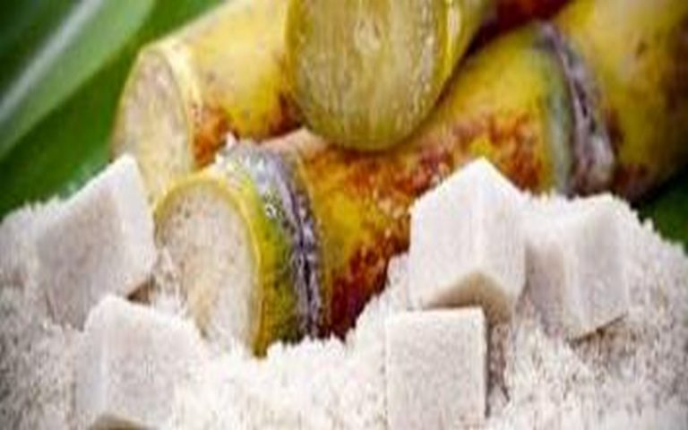 L’Afrique couvre la moitié de ses besoins en sucre