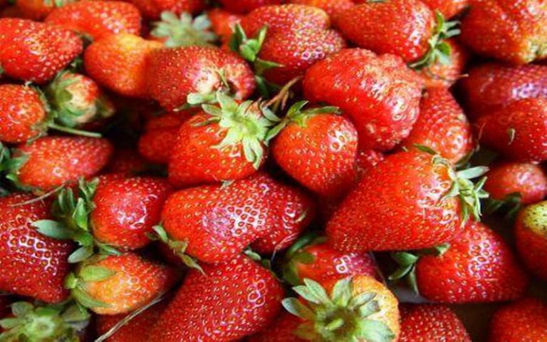 Les fraises égyptiennes interdites sur les marchés saoudiens
