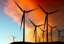 La plus grande centrale éolienne du Moyen-Orient construite par l’Egypte