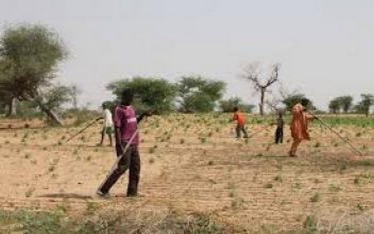 La BAD vole au secours de l’activité agropastorale nigérienne