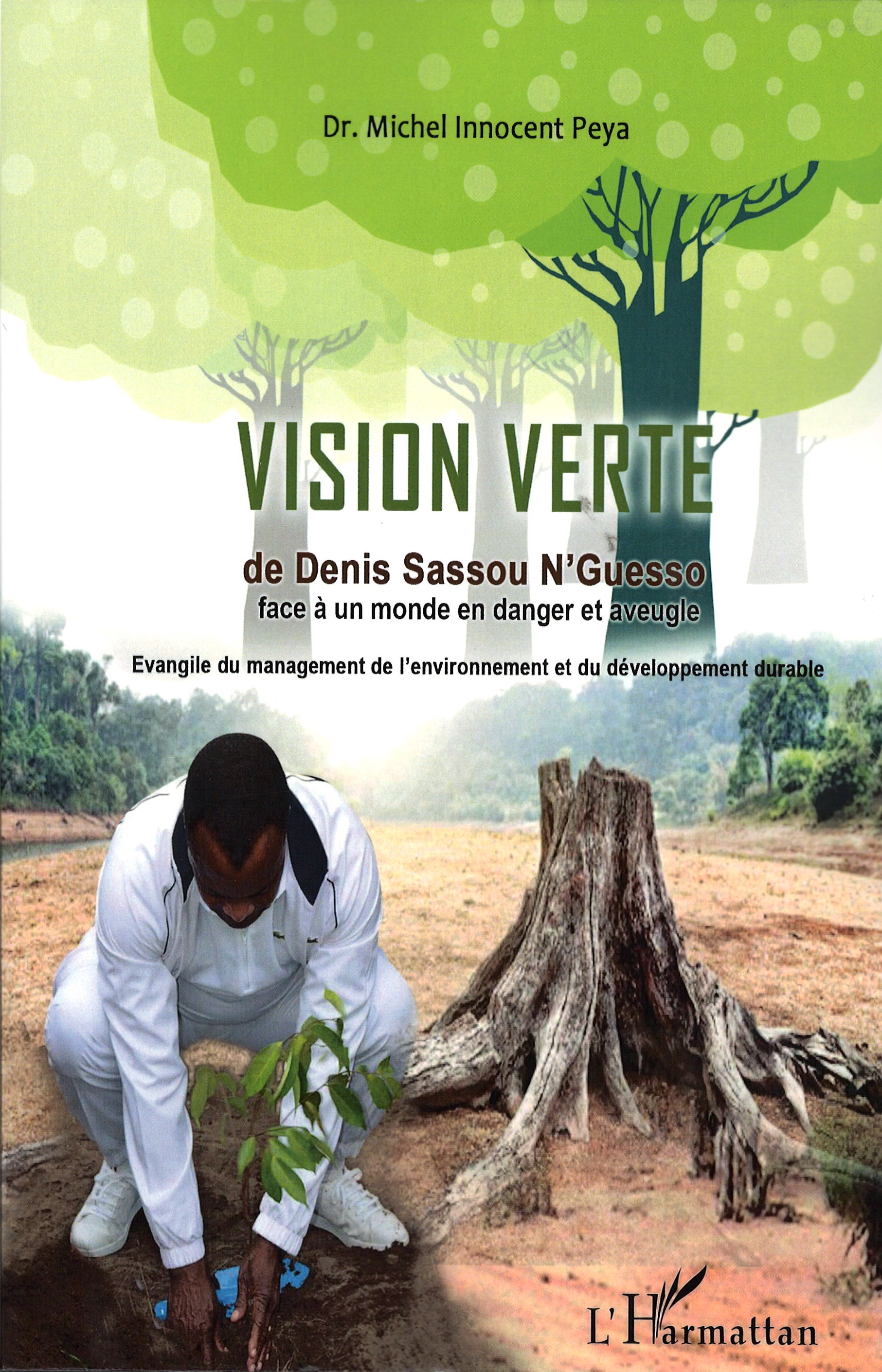 Livre : La vision verte de Denis Sassou-Nguesso face à un monde en danger et aveugle