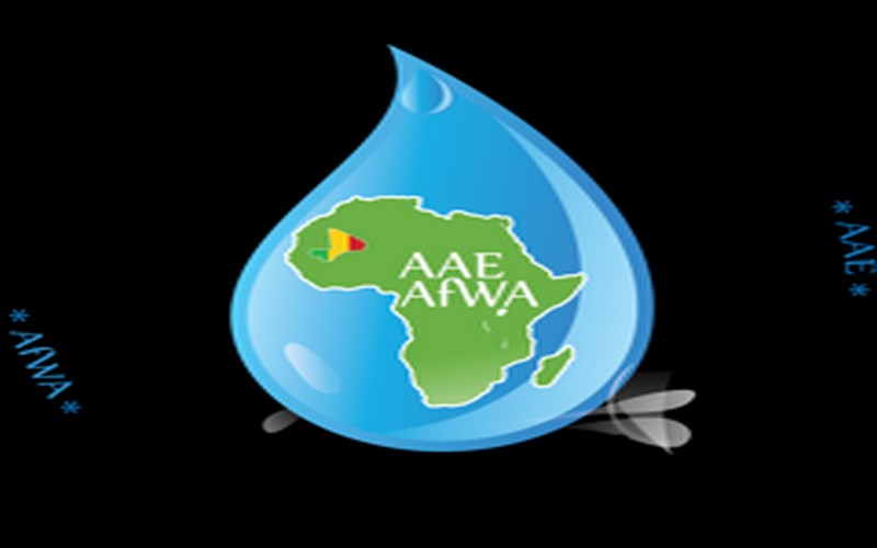 Le 19ème congrès l’AAE vise l’accès à l’assainissement et l’eau en Afrique