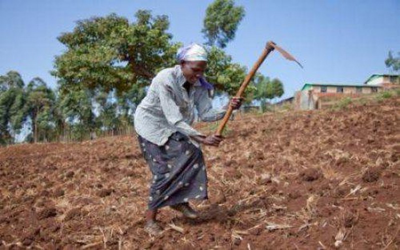 Accès des femmes au foncier : le Sénégal lance son projet de Recherche-Action