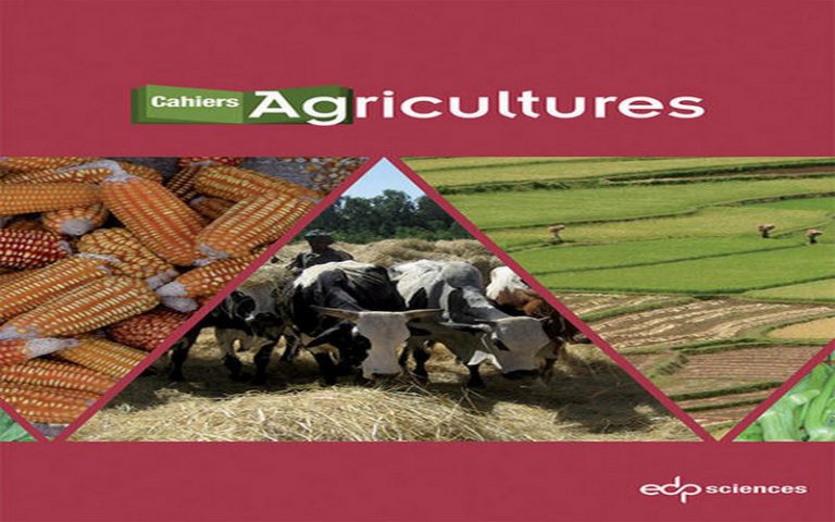 Des oasis en Afrique du Nord, selon Cahiers Agricultures