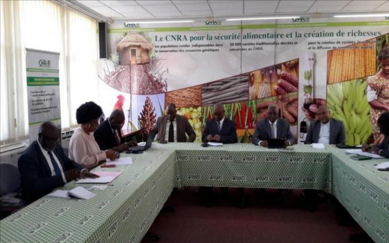 Coopération agricole : le Congo à l’école du CNRA ivoirien