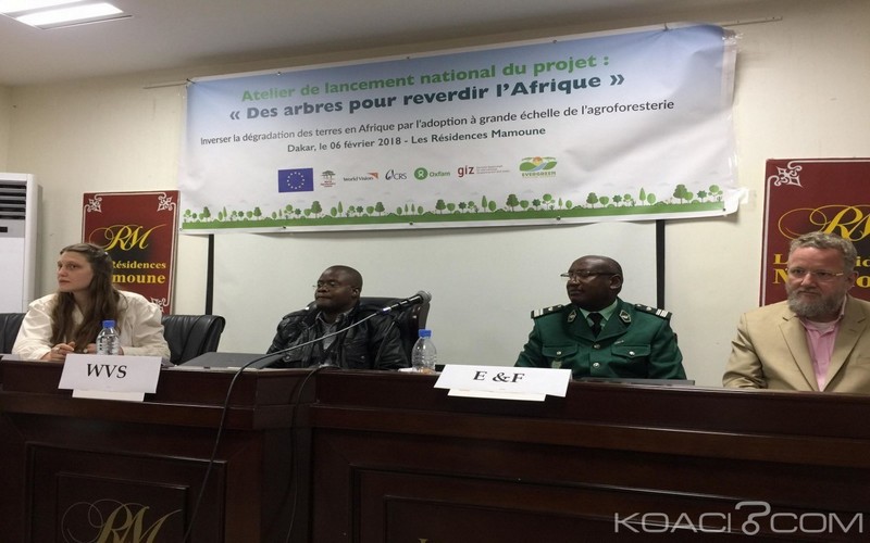 L’initiative « des arbres pour reverdir l’Afrique » lancée dans 8 pays