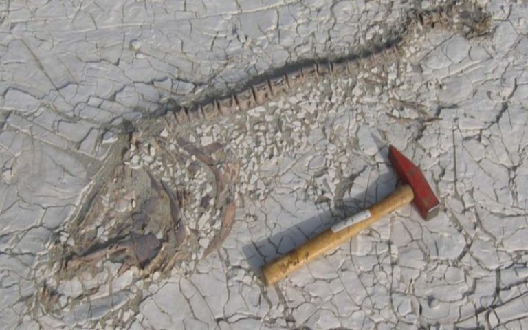 Assèchement du lac Tchad, supercherie ou réalité ?