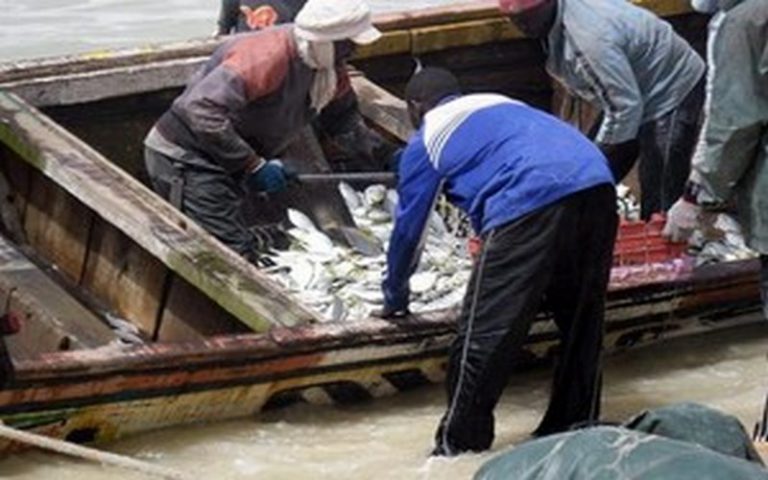 Licences de pêche : des accords attendus entre le Sénégal et la Mauritanie
