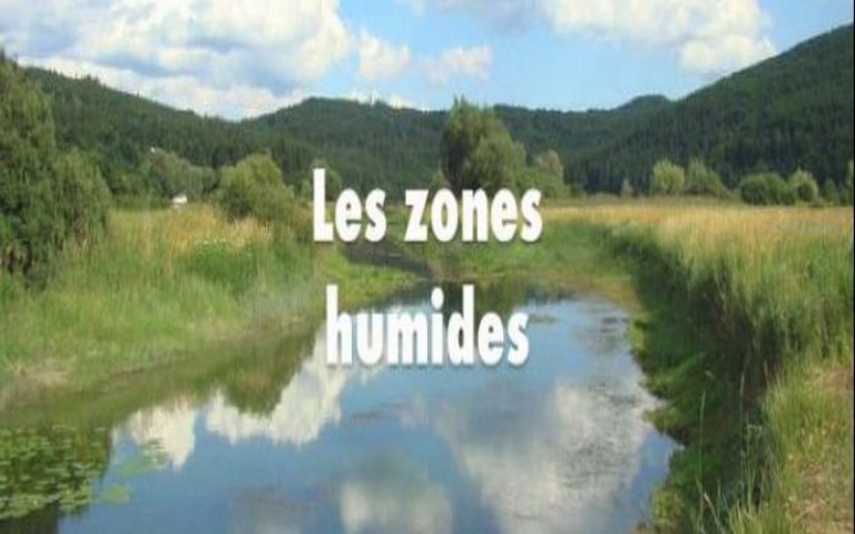Zones humides : vers l&rsquo;application de la Convention de Ramsar au Congo