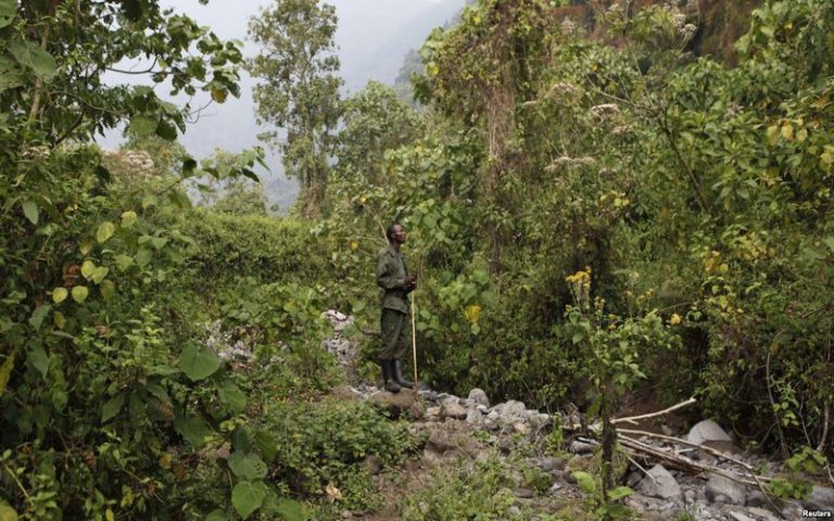 La RDC et le Congo pour une contrepartie financière à la protection des tourbières