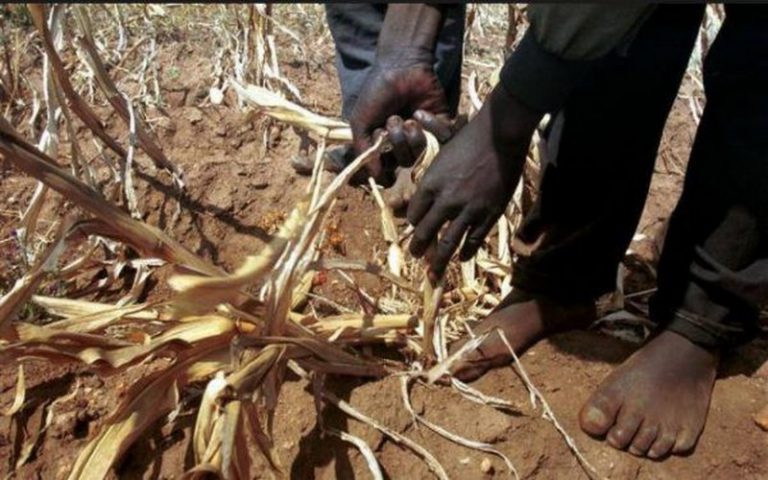 Le Congo est sur le point de soumettre sa requête au fonds vert