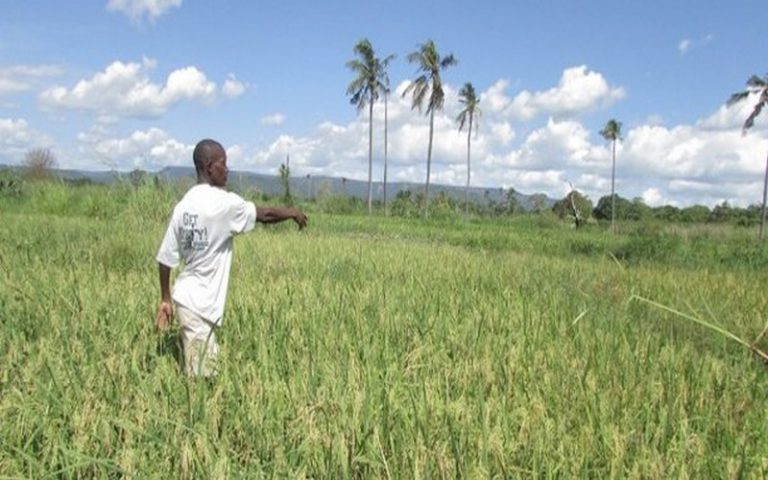 Un nouveau système d&rsquo;information contre les conflits fonciers en Tanzanie