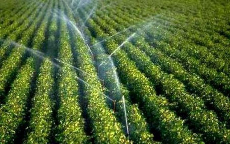 L’Union européenne finance un projet agricole en Zambie