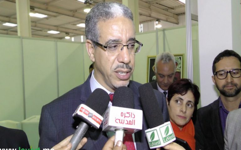 Transition énergétique : l’alliance Maroc-Afrique est irréversible