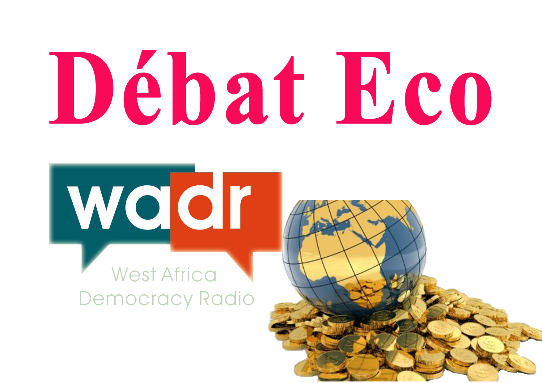 Financement bancaire du secteur agricole : La WADR invite Mahamadou BALDE