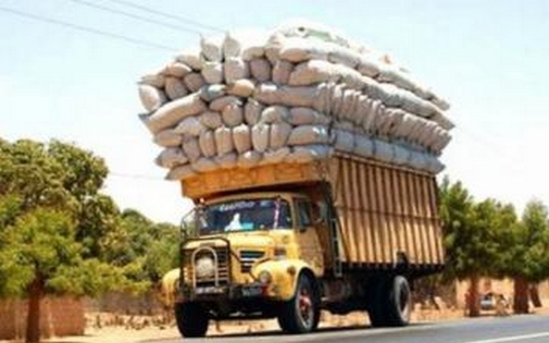 Chocolat : l’ONG The Smart Freight Centre prône la durabilité