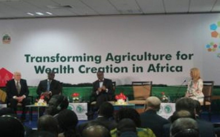 L’agriculture africaine, une aubaine pour le secteur bancaire