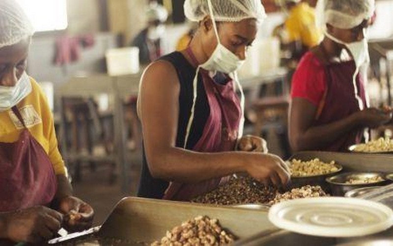 12 projets de la BAD lancés en faveur des PME agricoles dans 6 pays africains