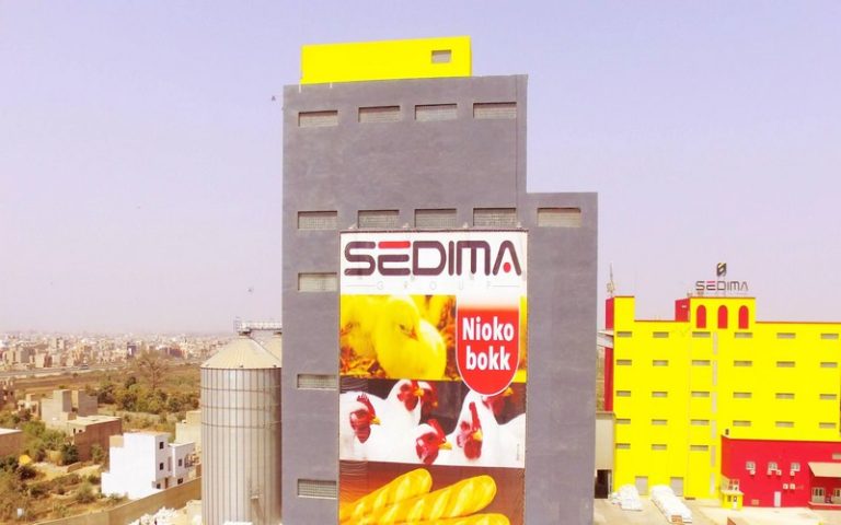 Sénégal : la SEDIMA assure pouvoir fournir 42 à 45 millions de poussins par an