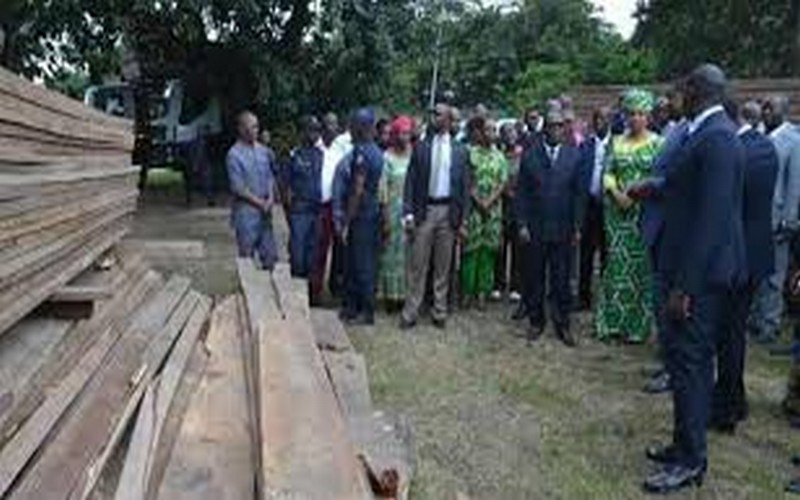 Saisie record de planches provenant des forêts camerounaises et congolaises
