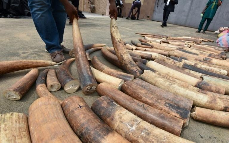 Ian Khama accuse l’Amérique d’« encourager le braconnage des éléphants »