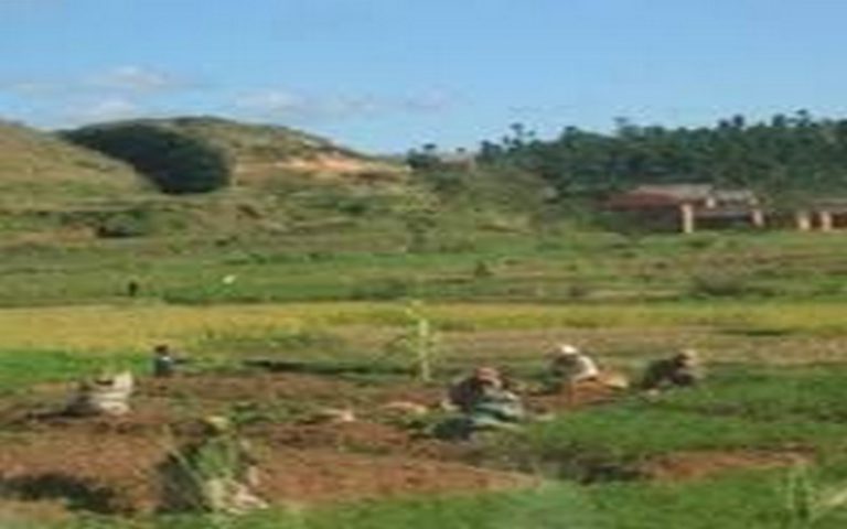 Madagascar : le GESC appelle à protéger les terres malgaches