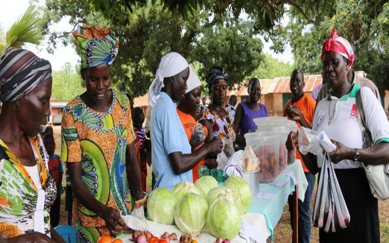 124 millions de personnes frappées par l’insécurité alimentaire en  2017