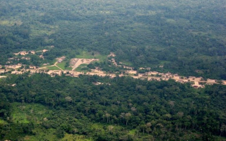 Un mécanisme pour sauver les forêts accusé de bafouer les droits autochtones