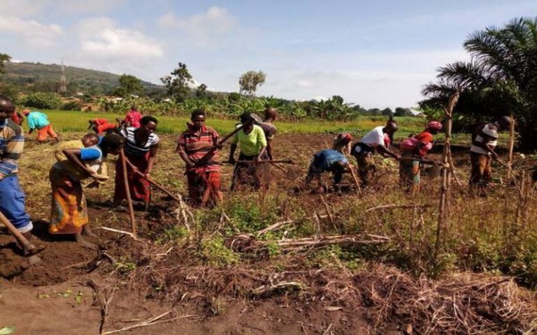 Une pluviométrie normale pour la saison culturale B de 2018 au Burundi