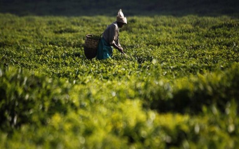 Le FMI projette à 7,2% le taux de croissance du Rwanda en 2018