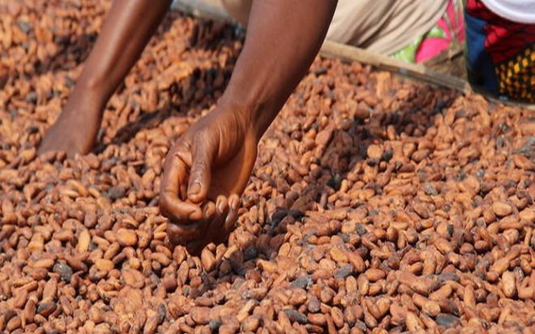 Sénégal / Burkina Faso – Appel à projets de recherche : Agriculture et Santé