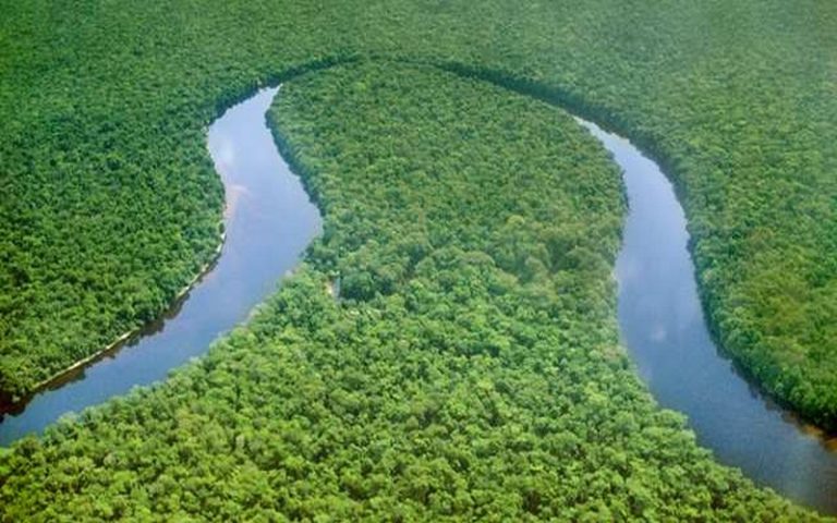 L’Afrique au chevet de l&rsquo;initiative du fonds bleu pour le Bassin du Congo