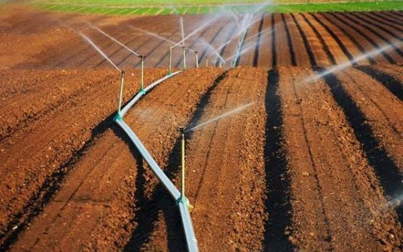 Tunisie: le ministère de l’Agriculture planche sur la résolution de l’accès à l’eau potable et l’irrigation