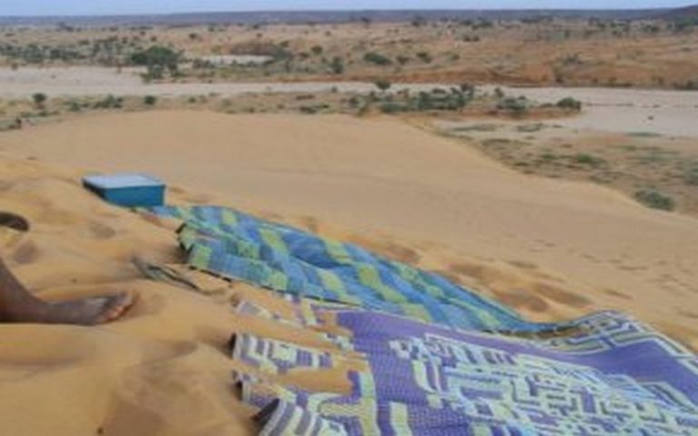 Vers la numérisation des procédures foncières au Sénégal