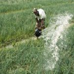 L’Innovation et la recherche agricole au menu du CST de l’ISRA pour une agriculture durable au Sénégal