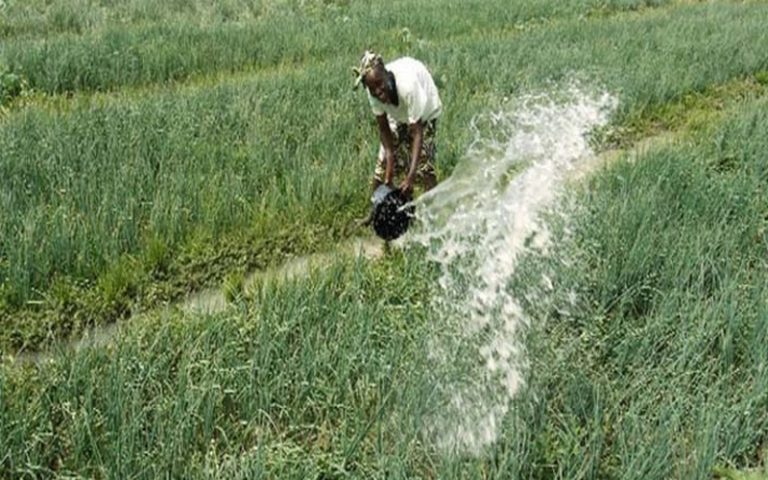 L’Innovation et la recherche agricole au menu du CST de l’ISRA pour une agriculture durable au Sénégal