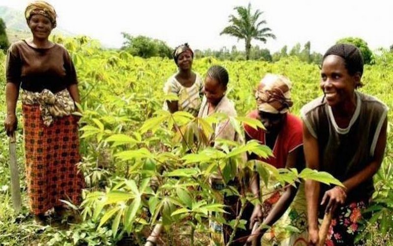 L’Afrique invitée à muer son agriculture en une activité industrielle